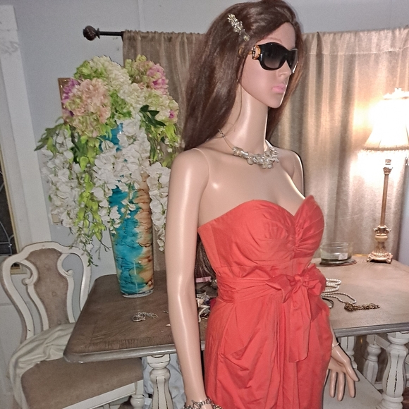 Suzi chin for Maggy boutique,  size 4 dress - Picture 6 of 9